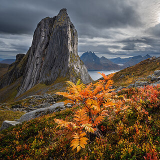 Senja - Segla